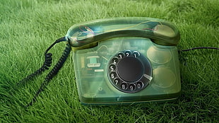green rotary telephone on grass field HD wallpaper